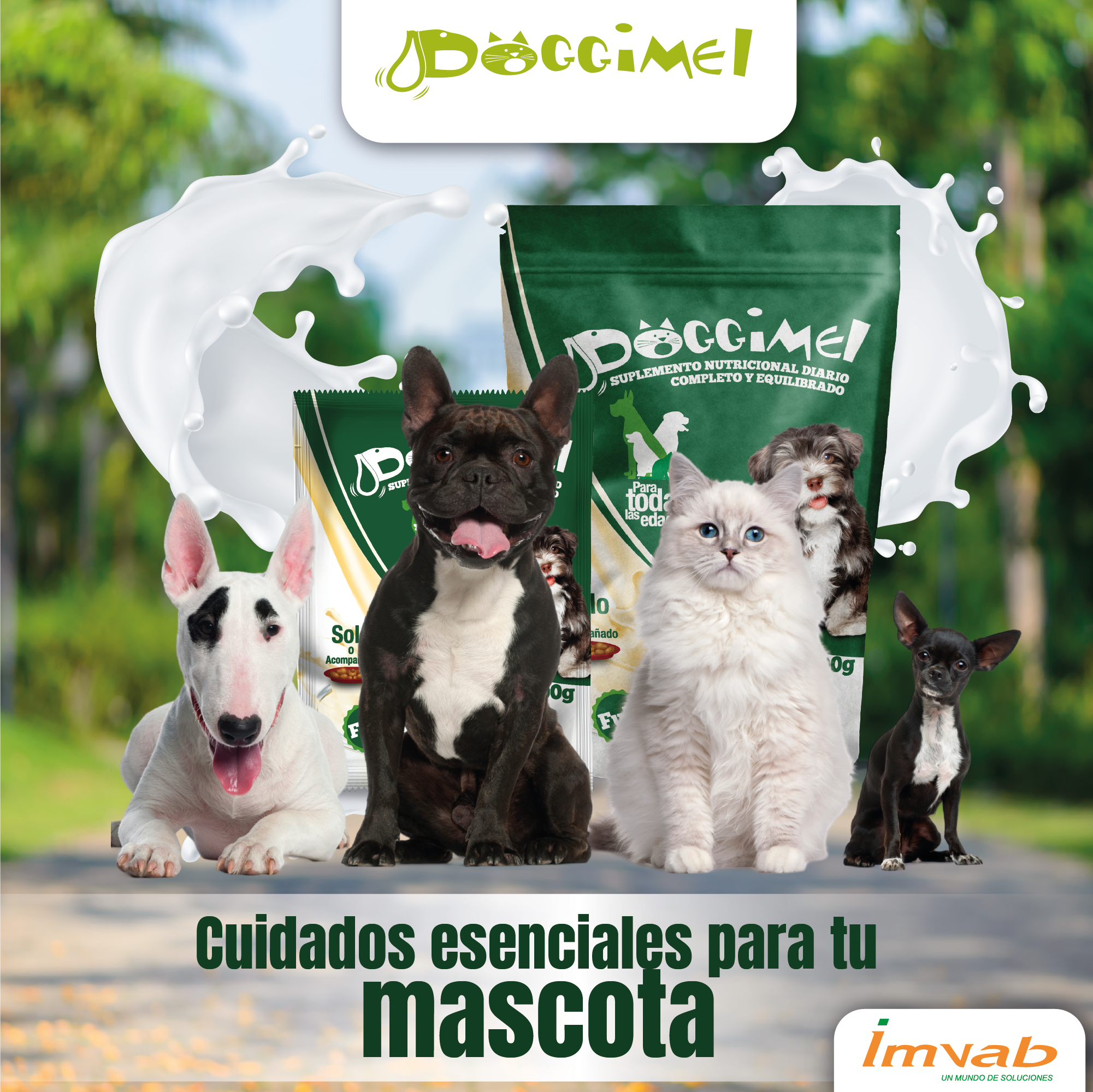 arte doggimell 7 julio