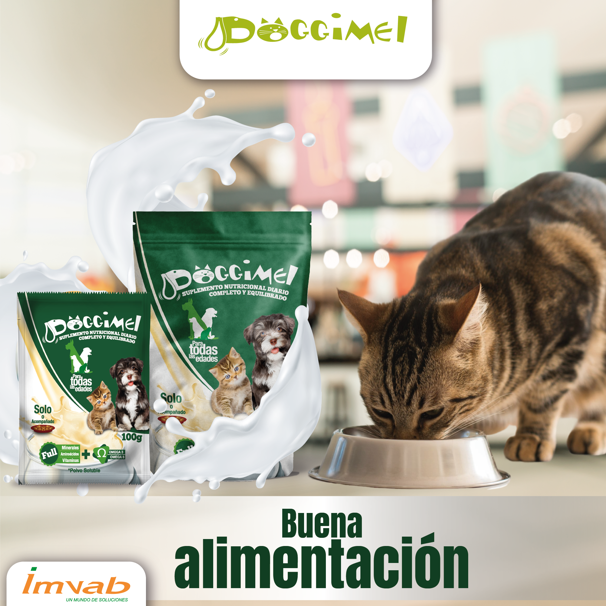 arte doggimell 8 julio