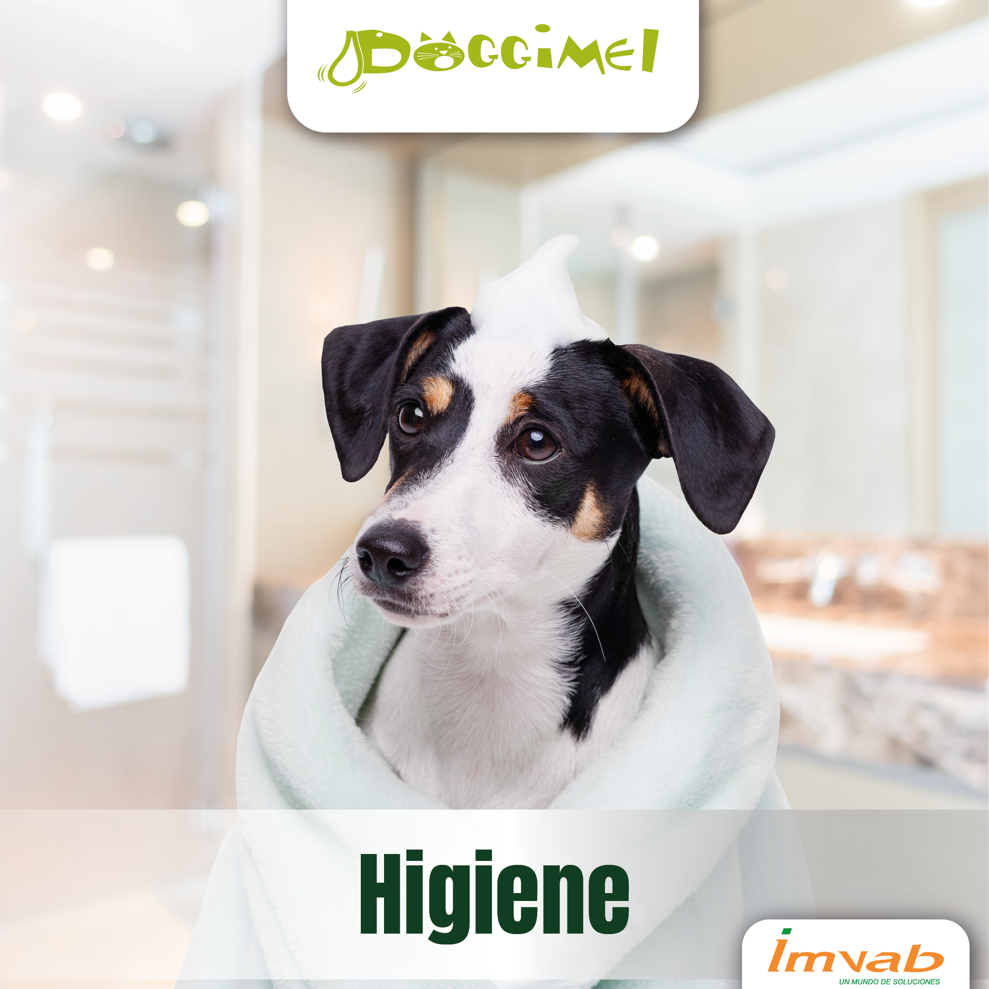 arte doggimell 9 julio