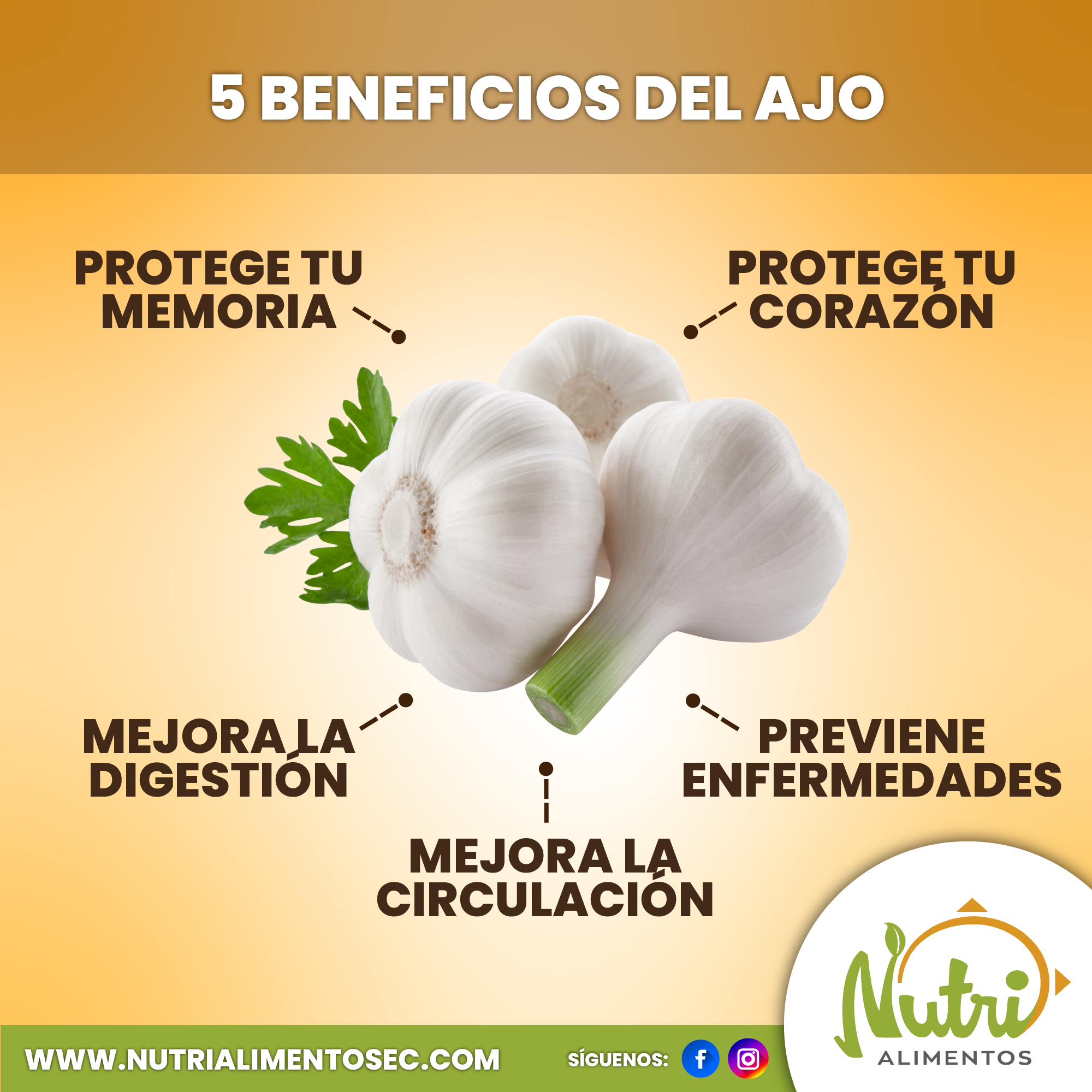 beneficios del ajo