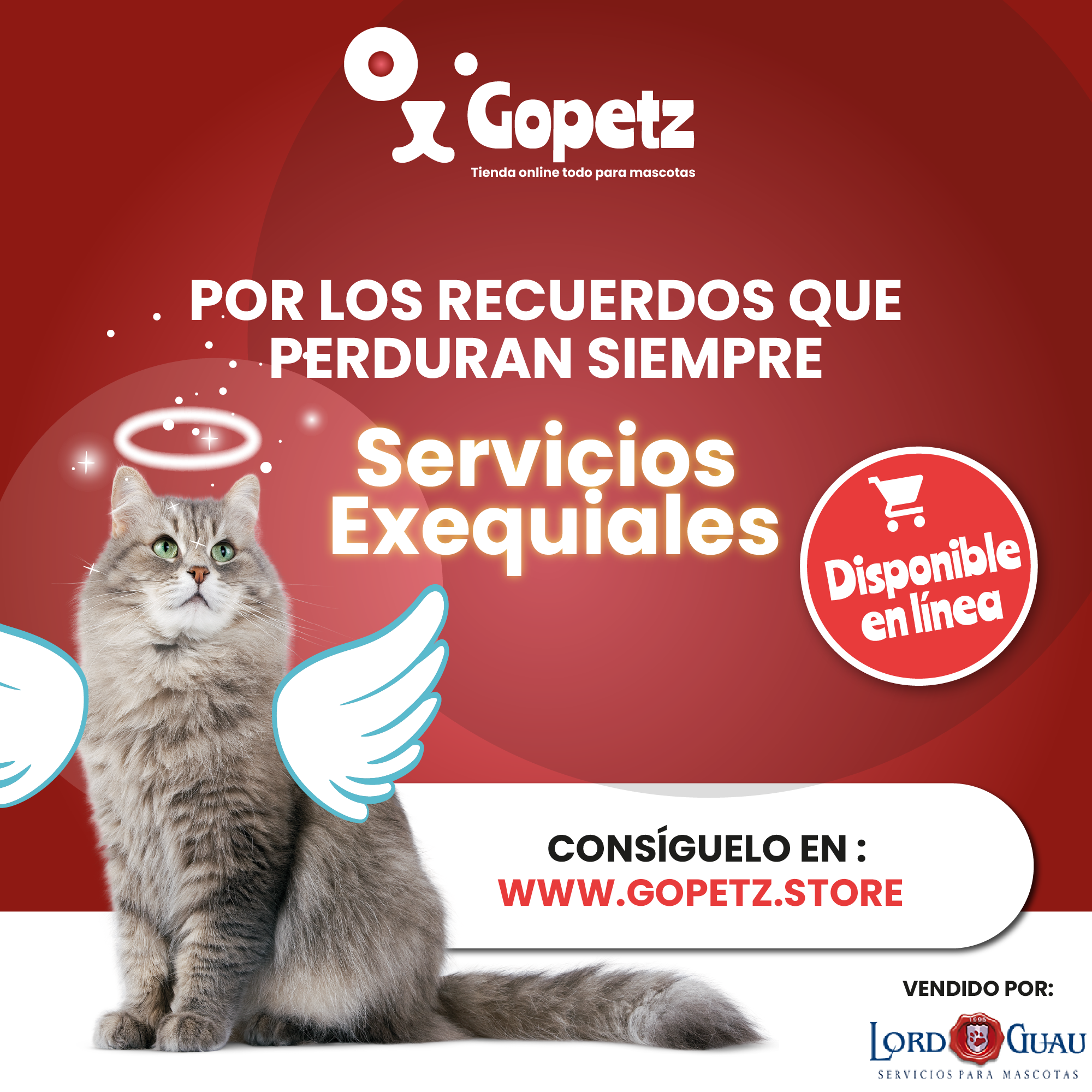 servicios exequiales