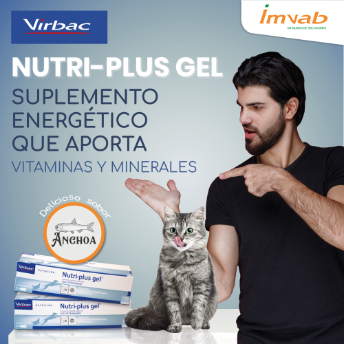 nutri plus 4